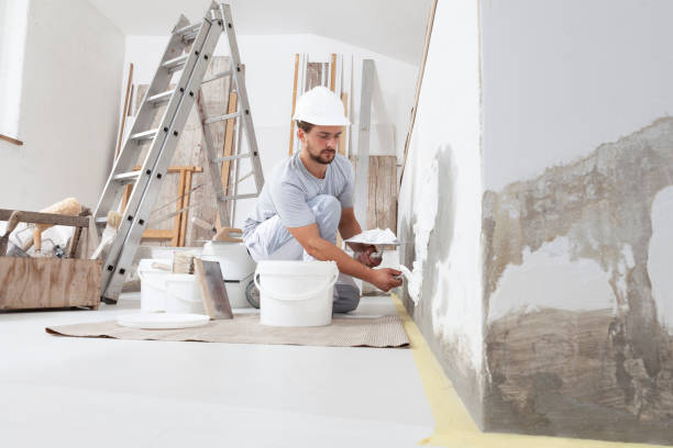 Professional Mold Removal in Edmonton, KY