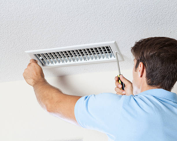 Best Mold Damage Restoration  in Edmonton, KY