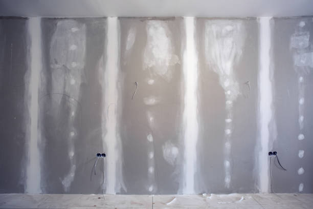 Best Mold Documentation for Insurance Claims  in Edmonton, KY