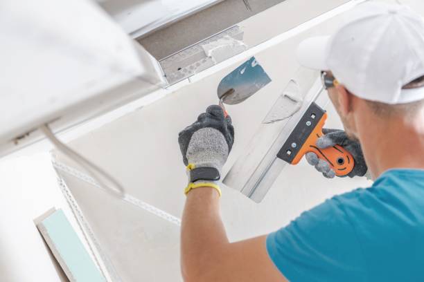 Best Biohazard Mold Removal  in Edmonton, KY
